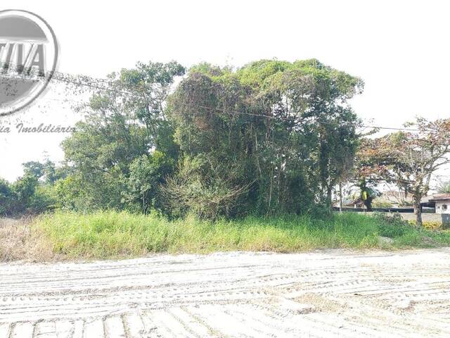 Venda em Balneário Eliane - Guaratuba